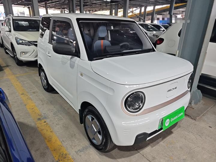2023 Panda mini 200km Endurance Bear photo 3