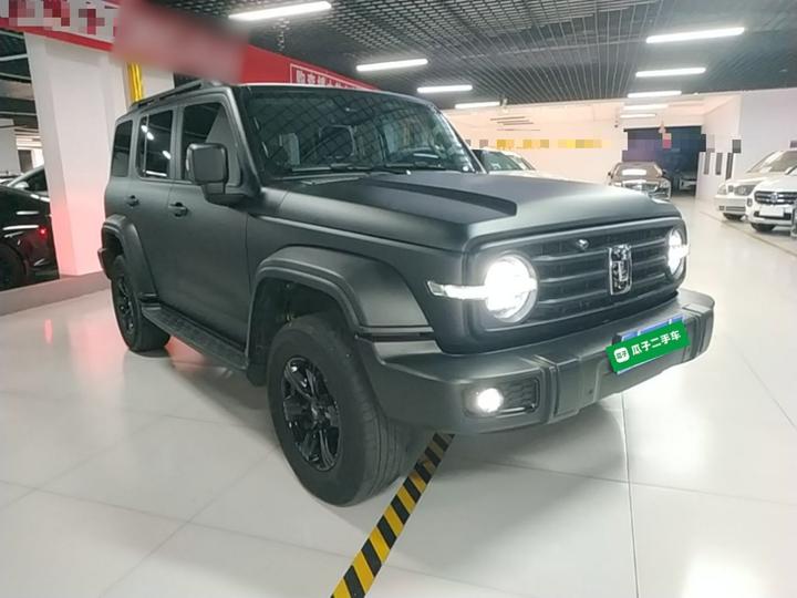 300 2024 2.0T Conqueror photo 3