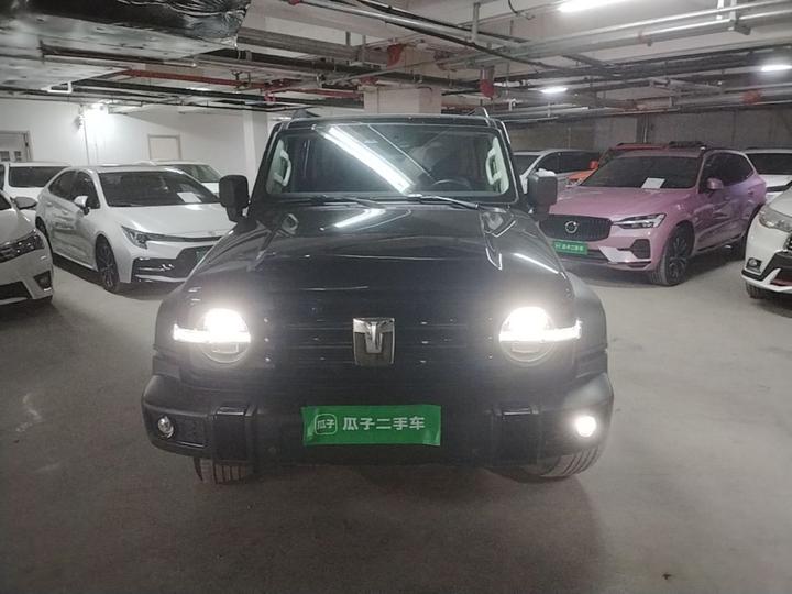 300 2024 2.0T Conqueror photo 2