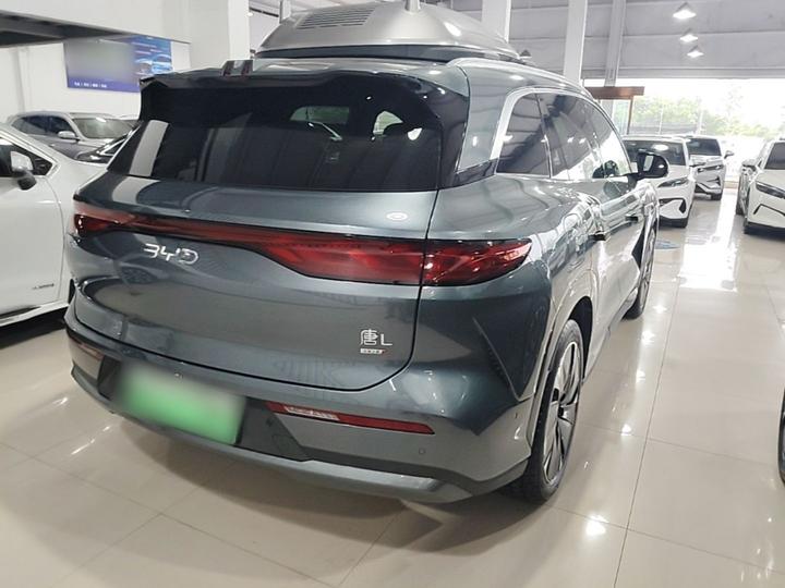 Tang L 2025 DM 175KM photo 4