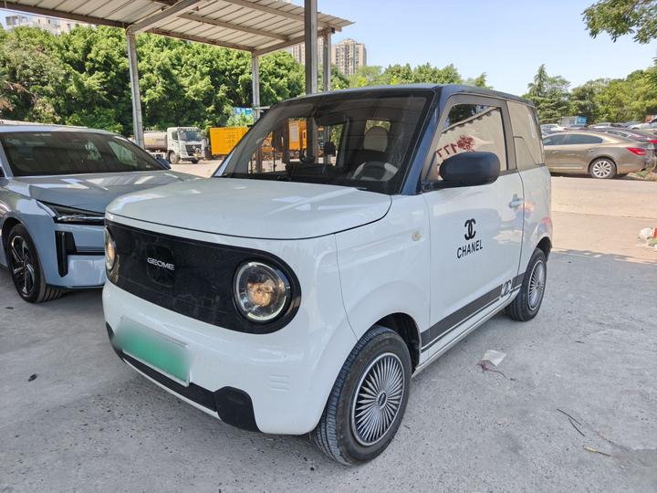 2024 Panda mini 200km Endurance Bear