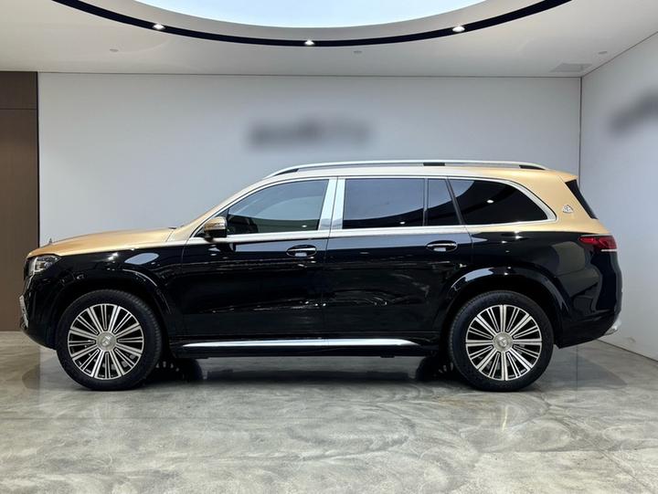 Maybach GLS 2021 GLS 480 4MATIC photo 3