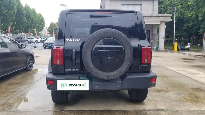 300 2023 Off-road 2.0T Conqueror photo 3