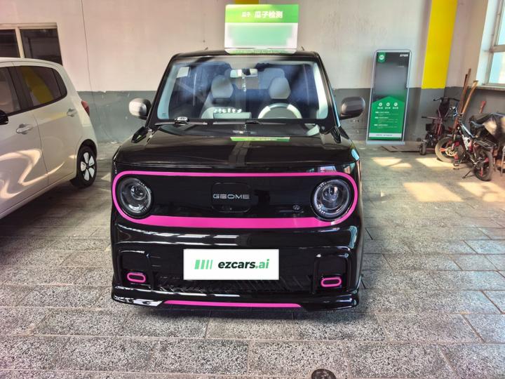 2025 210km Panda photo 3