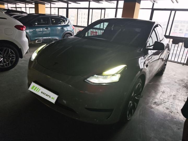Model Y 2021 Standard Range RWD