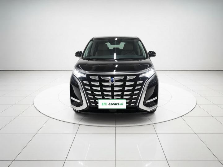 D9 2024 DM-i 980 AWD Noble photo 2
