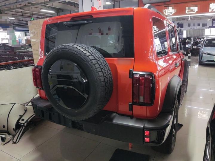 300 2021 Off-road 2.0T Conqueror photo 4