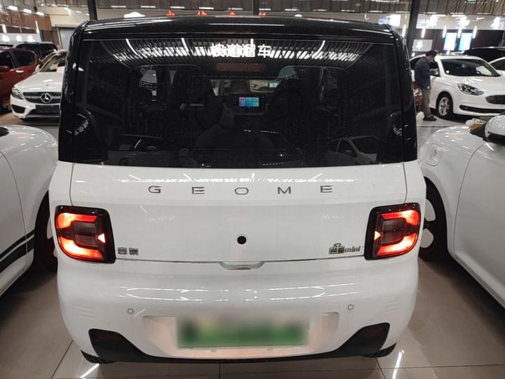 2023 Panda mini 200km Endurance Bear photo 5