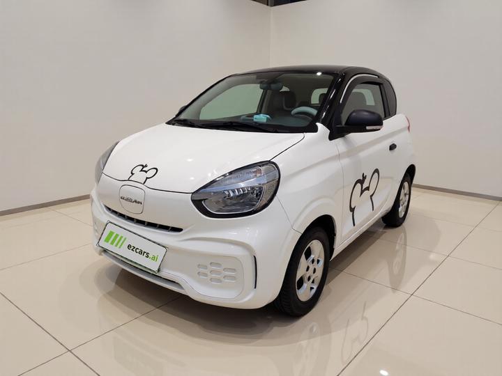Clever R 2021 302km Excellence