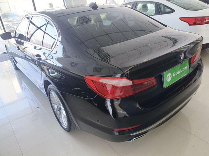 5 Series 2020 530Li Exclusive Luxury photo 4
