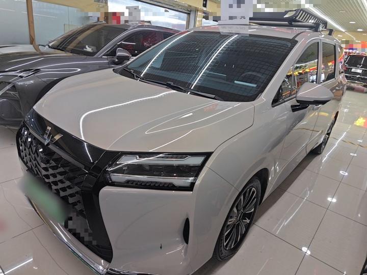 730 EV 2025 125km Luxury