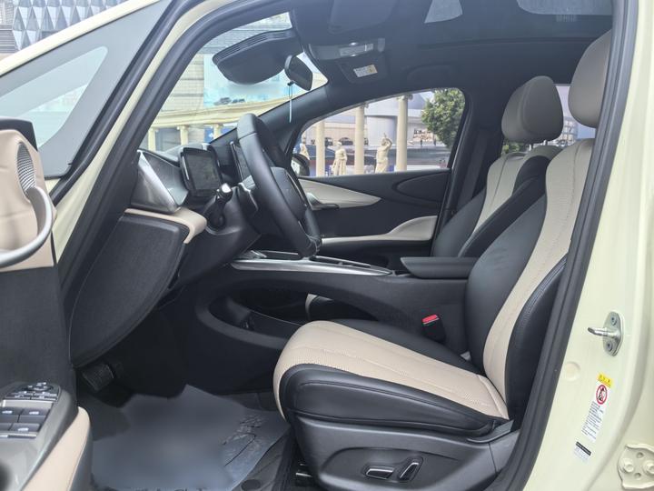 Dolphin 2025 ADAS 410km Fashion photo 7