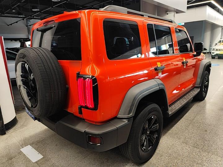 300 2021 Off-road 2.0T photo 4