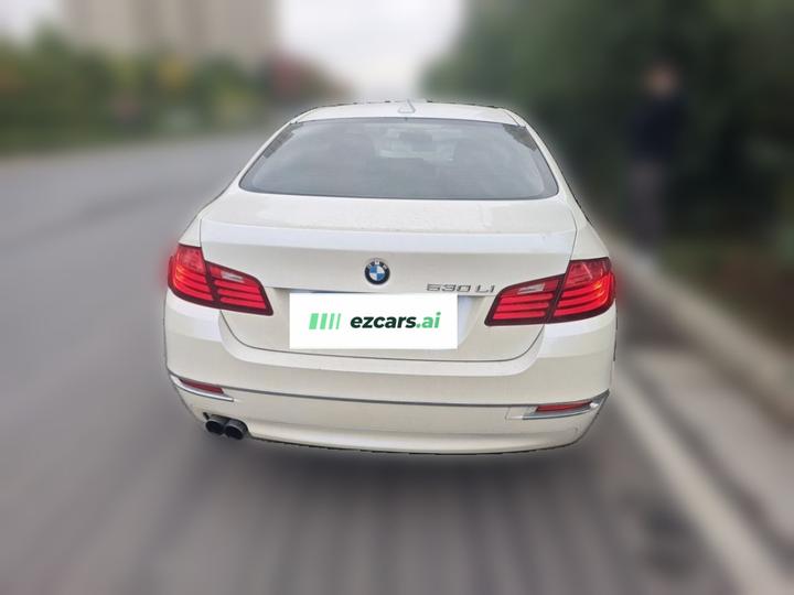 5 Series 2014 520Li photo 5