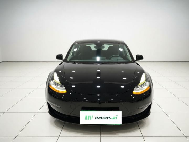 Model 3 2021 Performance AWD photo 2