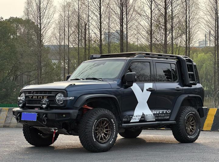 300 2021 Off-road 2.0T Conqueror