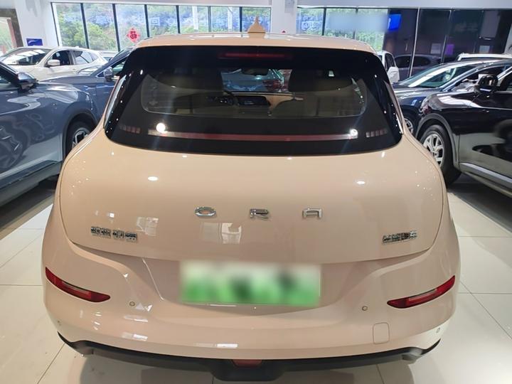 Good Cat 2023 401km Standard Range Premium LFP photo 5
