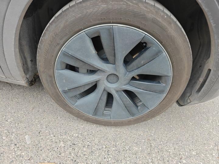 Model Y 2024 RWD photo 8