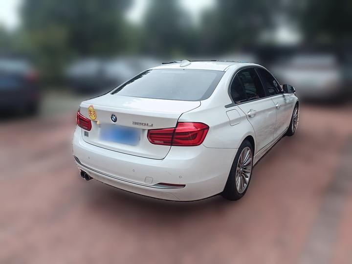 3 Series 2019 320Li Fashion photo 6