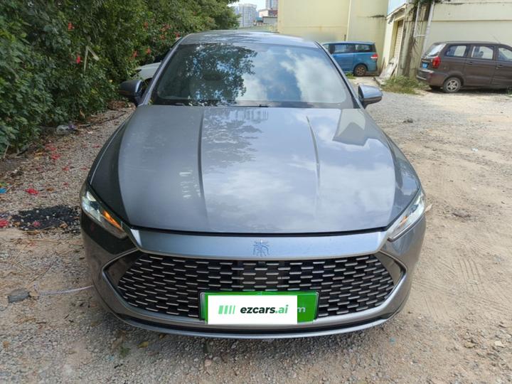 Qin PLUS 2024 Honor DM-i 55KM Leading photo 2