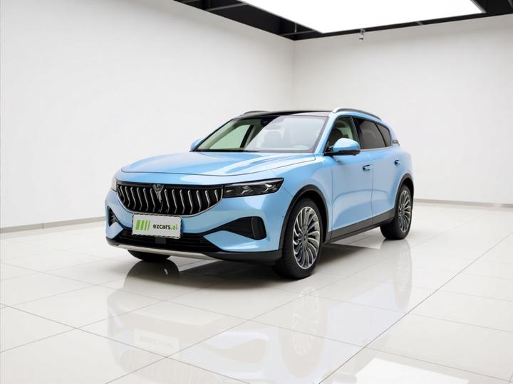 Voyah FREE 2021 AWD Standard EREV Luxury