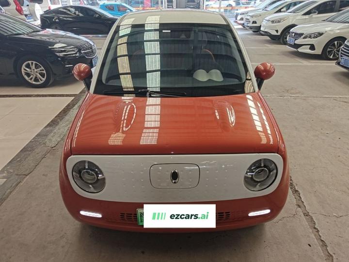 2019 351km photo 2