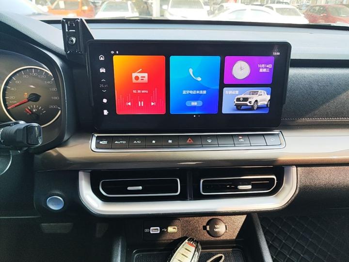 2023 2.0T AT Diesel AWD Elite GW4D20M photo 8