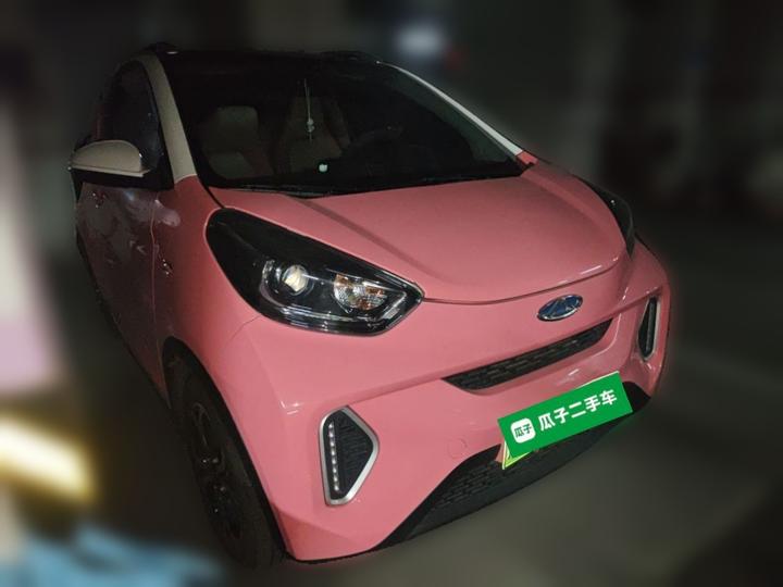 QQ Little Ant 2021 15 LFP photo 3