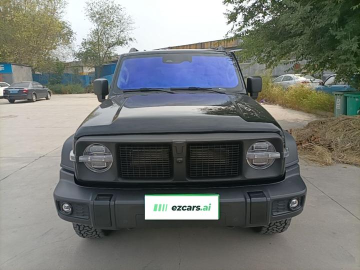 300 2024 2.0T Conqueror photo 2