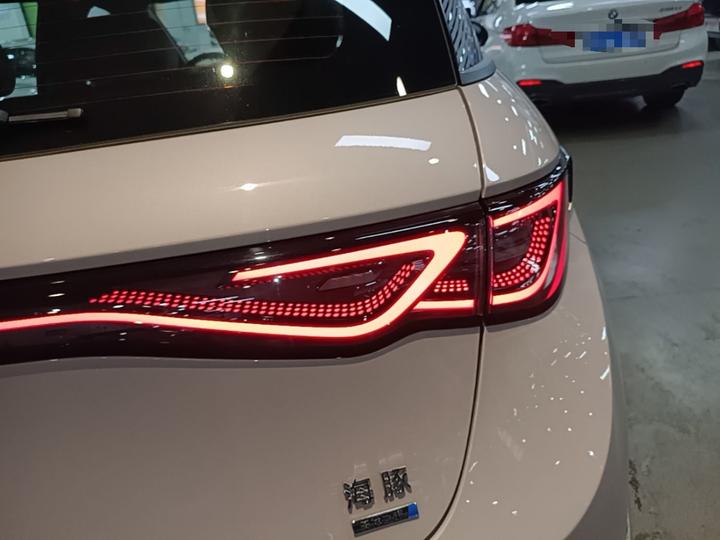 Dolphin 2025 ADAS 410km Fashion photo 7