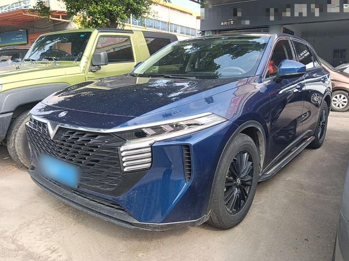 V 2021 260T