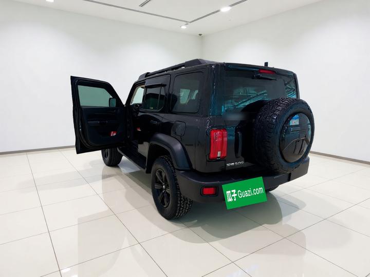 300 2021 Off-road 2.0T Conqueror photo 4