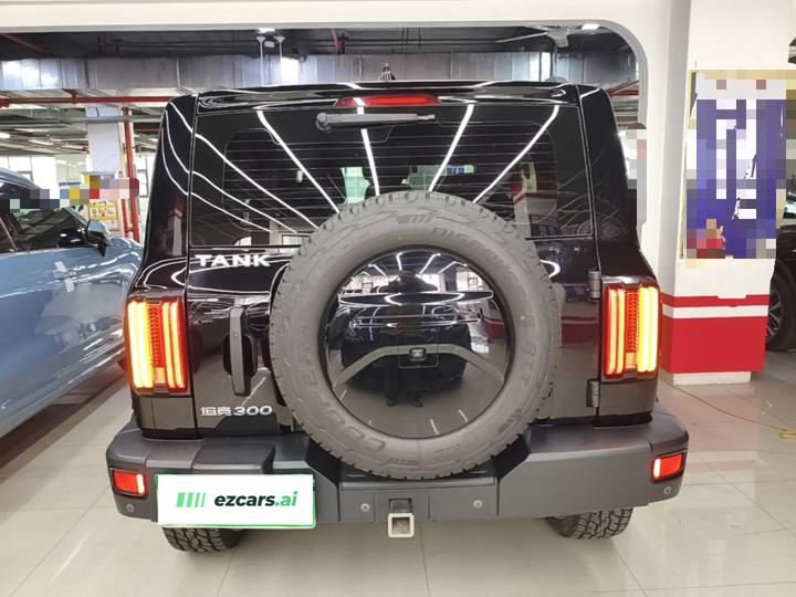 300 2021 Off-road 2.0T Conqueror photo 3