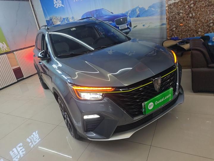 RX5 EV 2020 ePLUS Luxury photo 3
