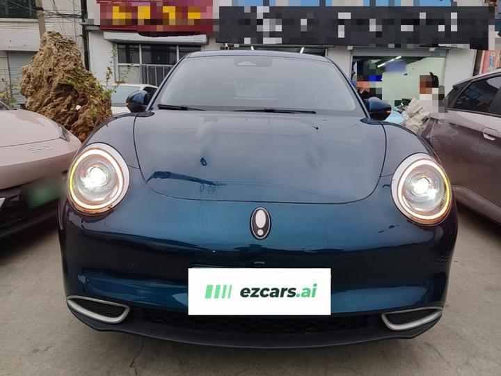 Good Cat 2021 400km Standard Range LFP photo 2