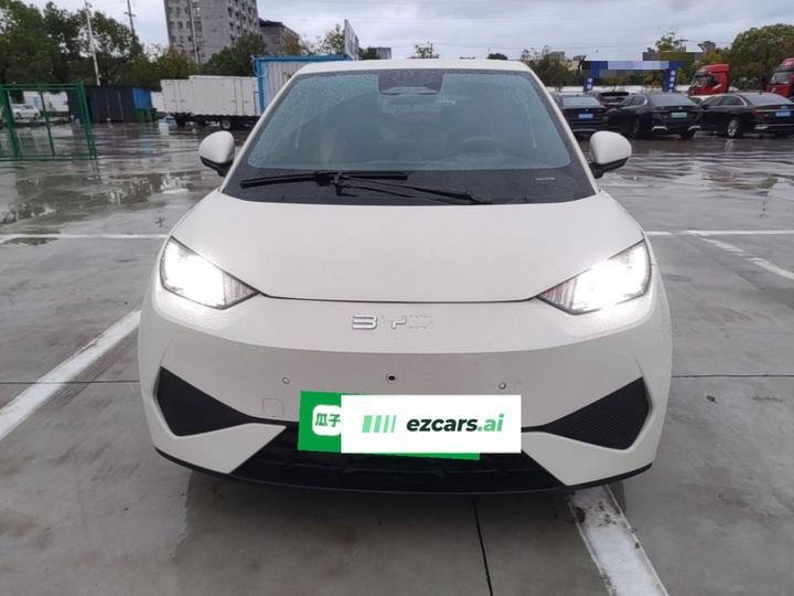 Seagull 2025 ADAS 305km photo 2