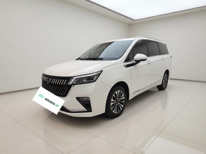 Wuling 2022 1.5T CVT Exclusive Flagship