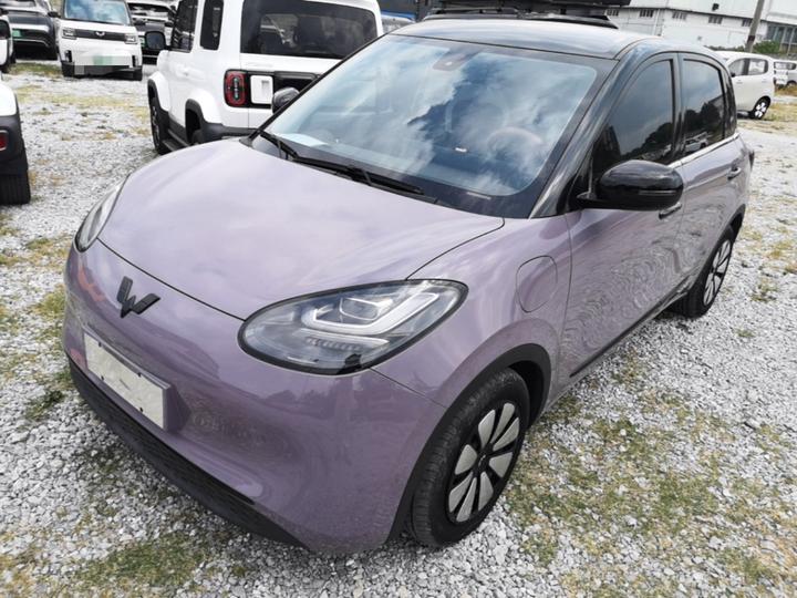 Wuling Bingo 2023 333km +