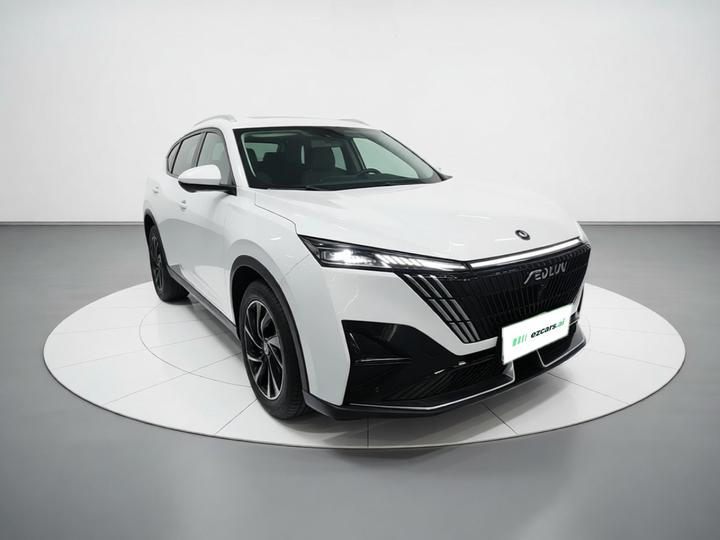 2025 1.5T Luxury photo 3
