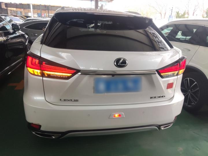 RX 2020 Facelift 300 AWD Elegant photo 3