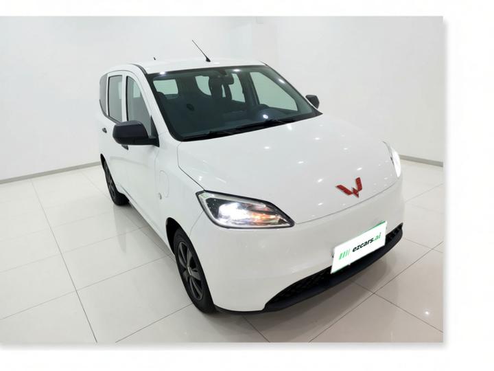 Wuling Hongguang EV 2024 EV 300KM Standard photo 3