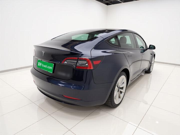 Model 3 2021 Facelift Standard Range RWD Upgraded 3D1 photo 6