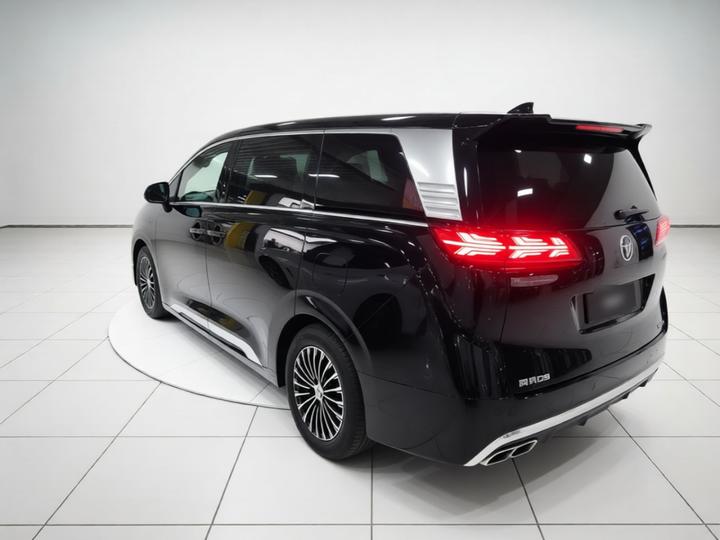 D9 2024 DM-i 980 AWD Noble photo 4