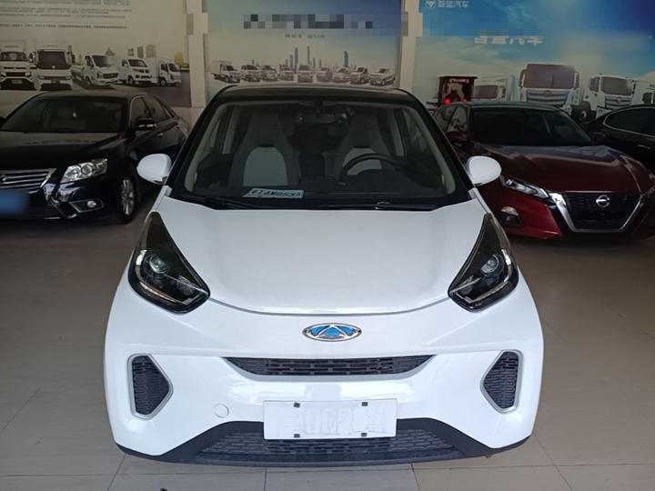 QQ Little Ant 2021 15 LFP photo 2