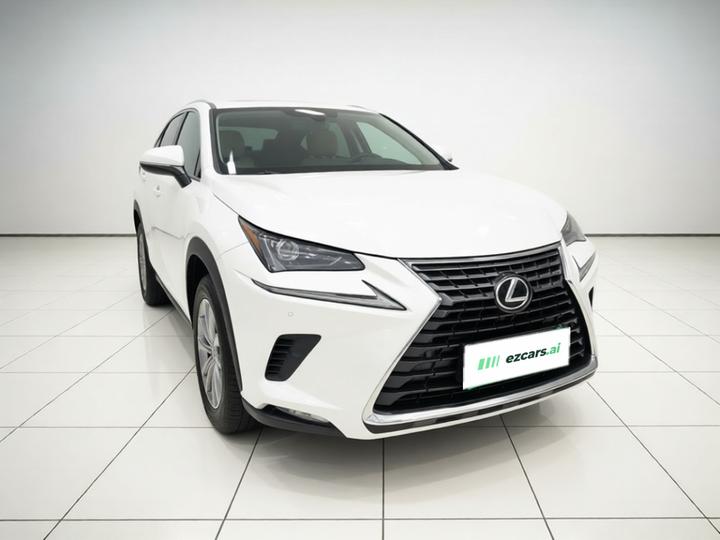NX 2018 300 FWD photo 3