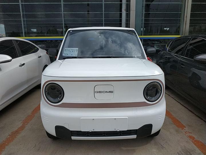 2024 Panda mini 200km Endurance Bear photo 2