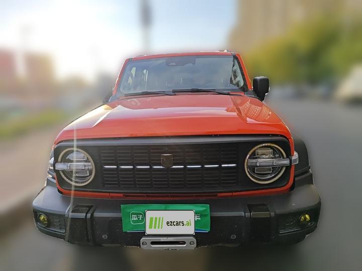 300 2023 Off-road 2.0T Conqueror photo 2