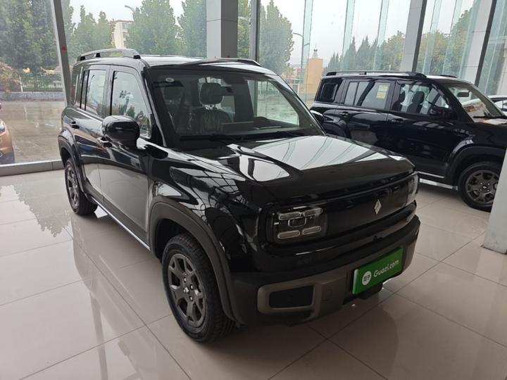 Plus 2026 301km Flagship photo 3