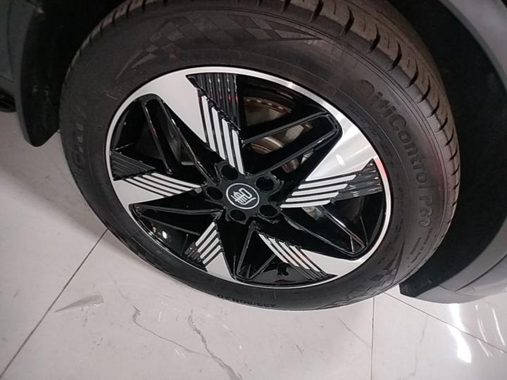 Tang EV 2024 DM-i Honor 112KM Noble photo 8