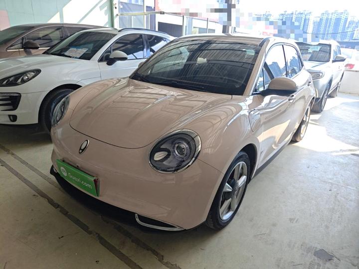 Good Cat 2023 401km Standard Range Luxury LFP